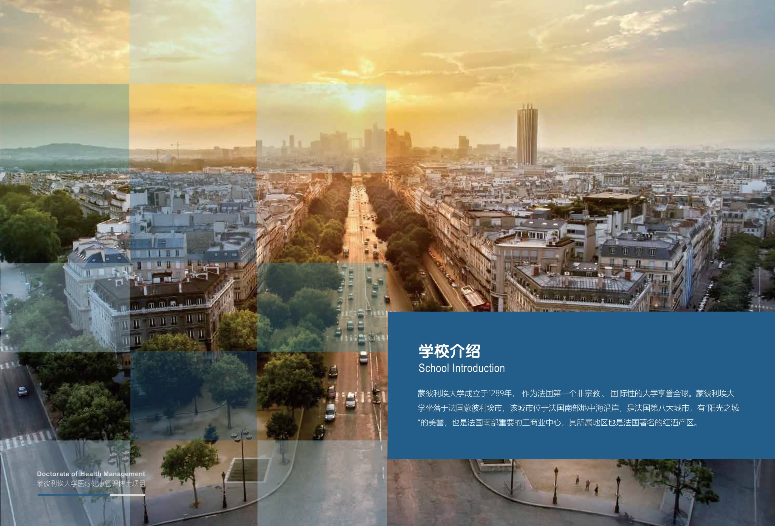 法國蒙彼利埃大學 DHM醫療健康管理 招生簡章_第6頁-min