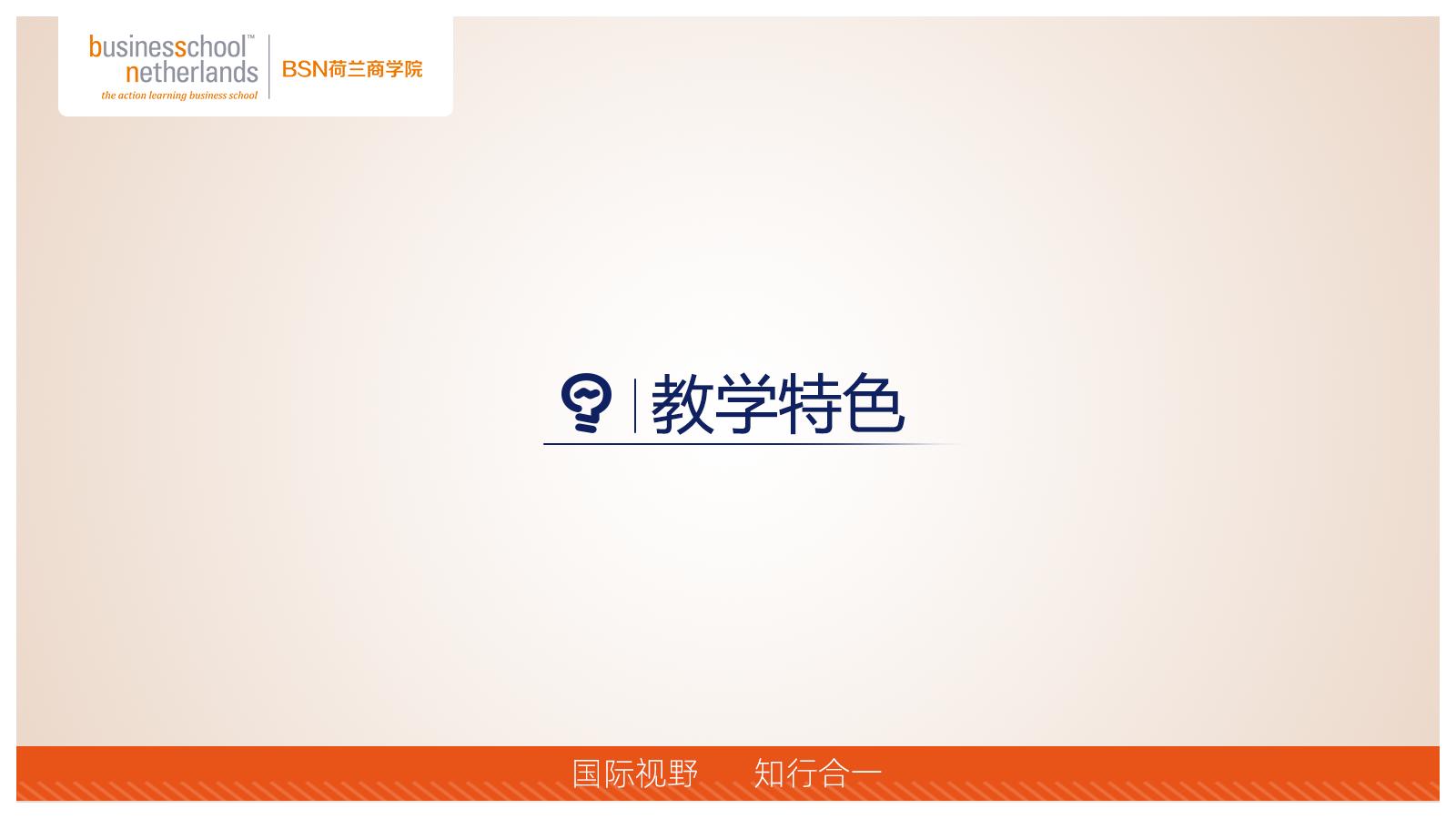 BSN荷蘭商學院MBA（線上）