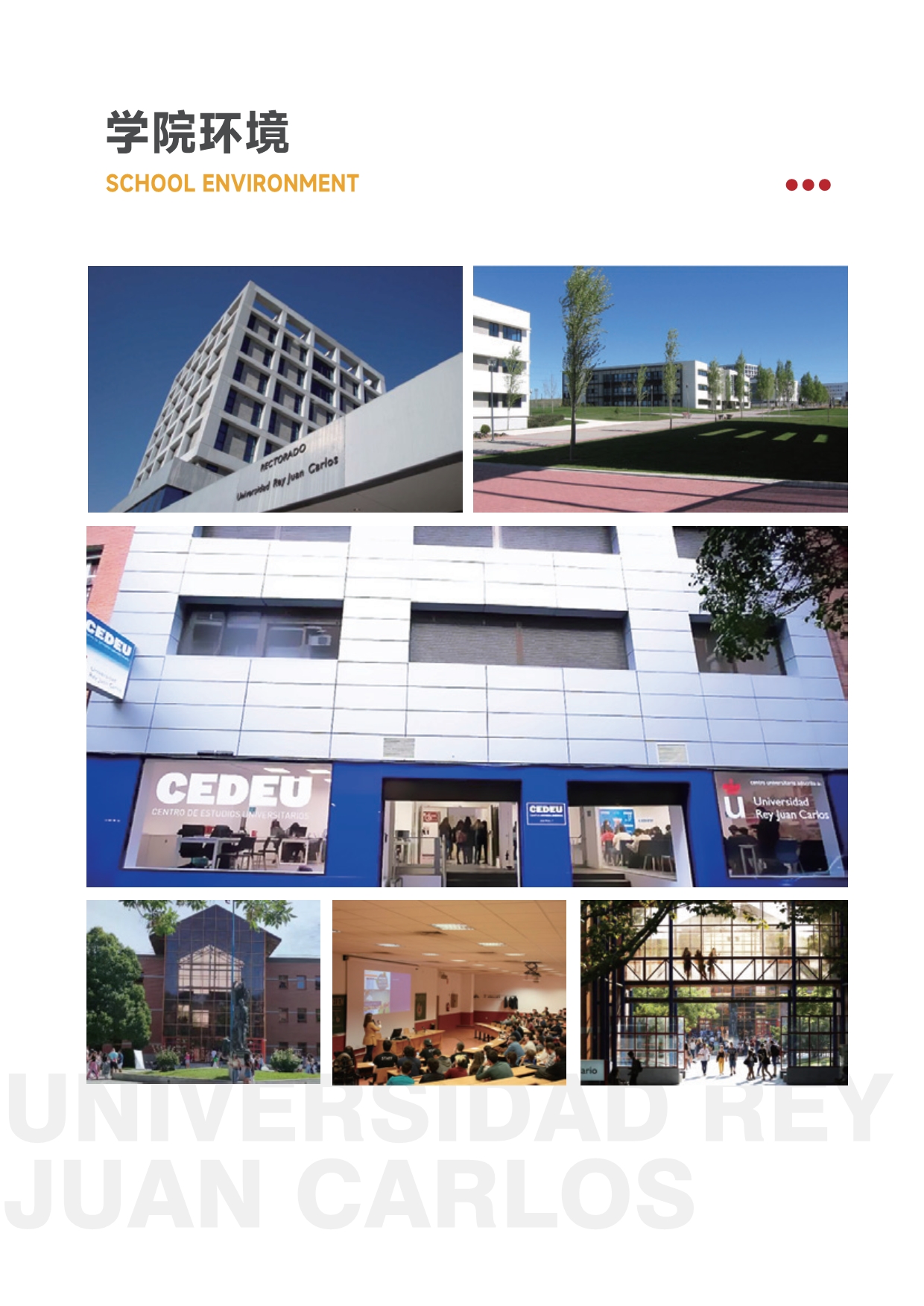 胡安卡洛斯國(guó)王大學(xué)法學(xué)碩士